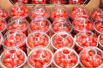 Production without Pesticide Residues