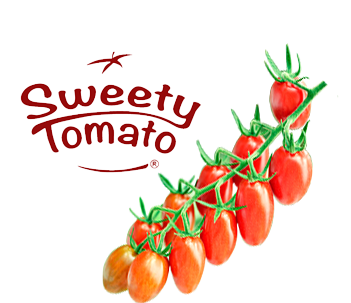 Sweety Tomato